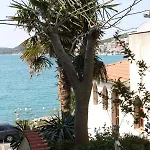 Appartamento By The Sea Tisno, Murter - 6106